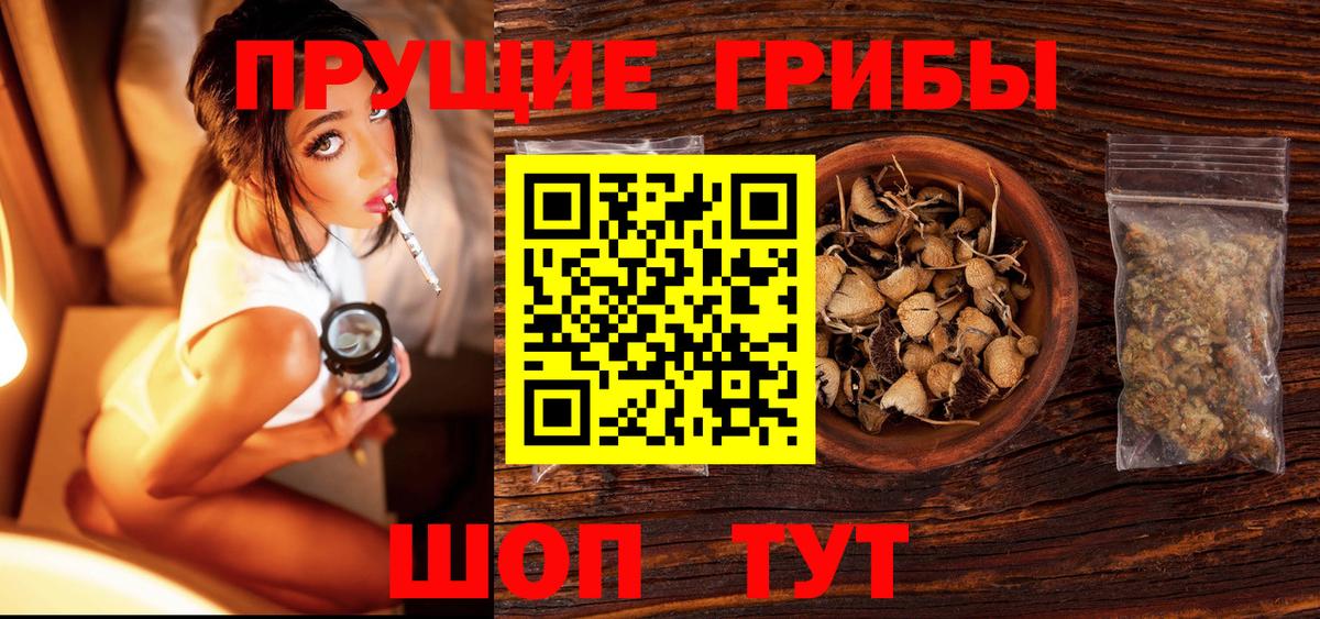 Галлюциногенные грибы прущие грибы  Вход с VPN  Геленджик 