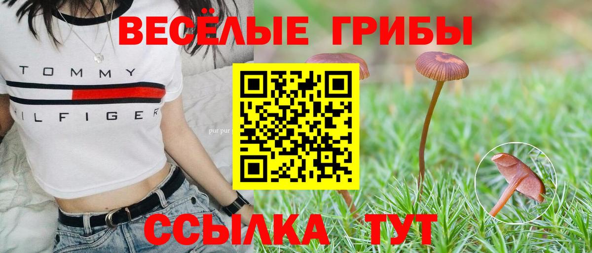 Псилоцибиновые грибы MAGIC MUSHROOMS Геленджик