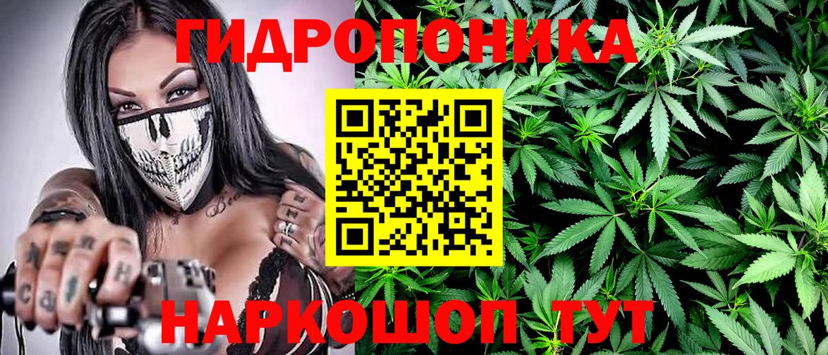 Геленджик  Марихуана тримм  Каннабис Amnesia  Бошки Шишки марихуана  Вход с VPN 